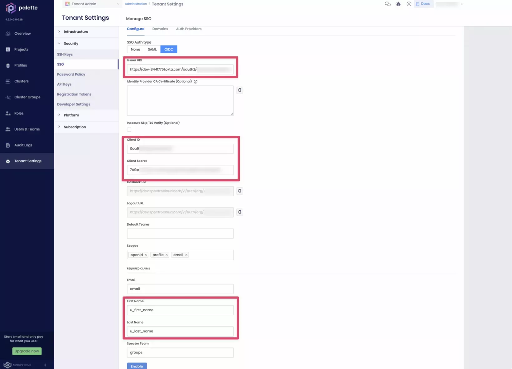 Enable Palette OIDC SSO